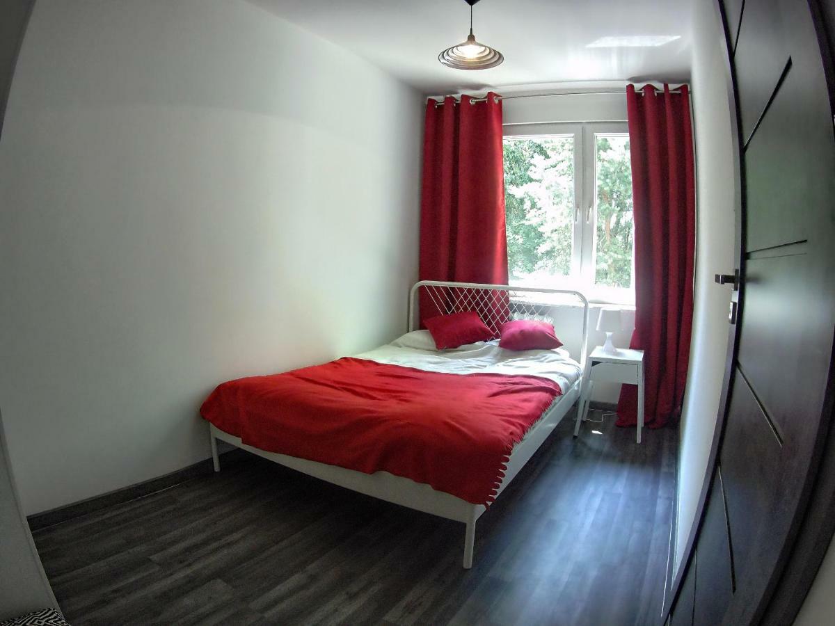 Antek * Krakow